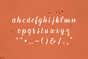 % SALE - Handmade font bundle, a Script Font by Lettering Garage (Thumbnail 14 of 15)
