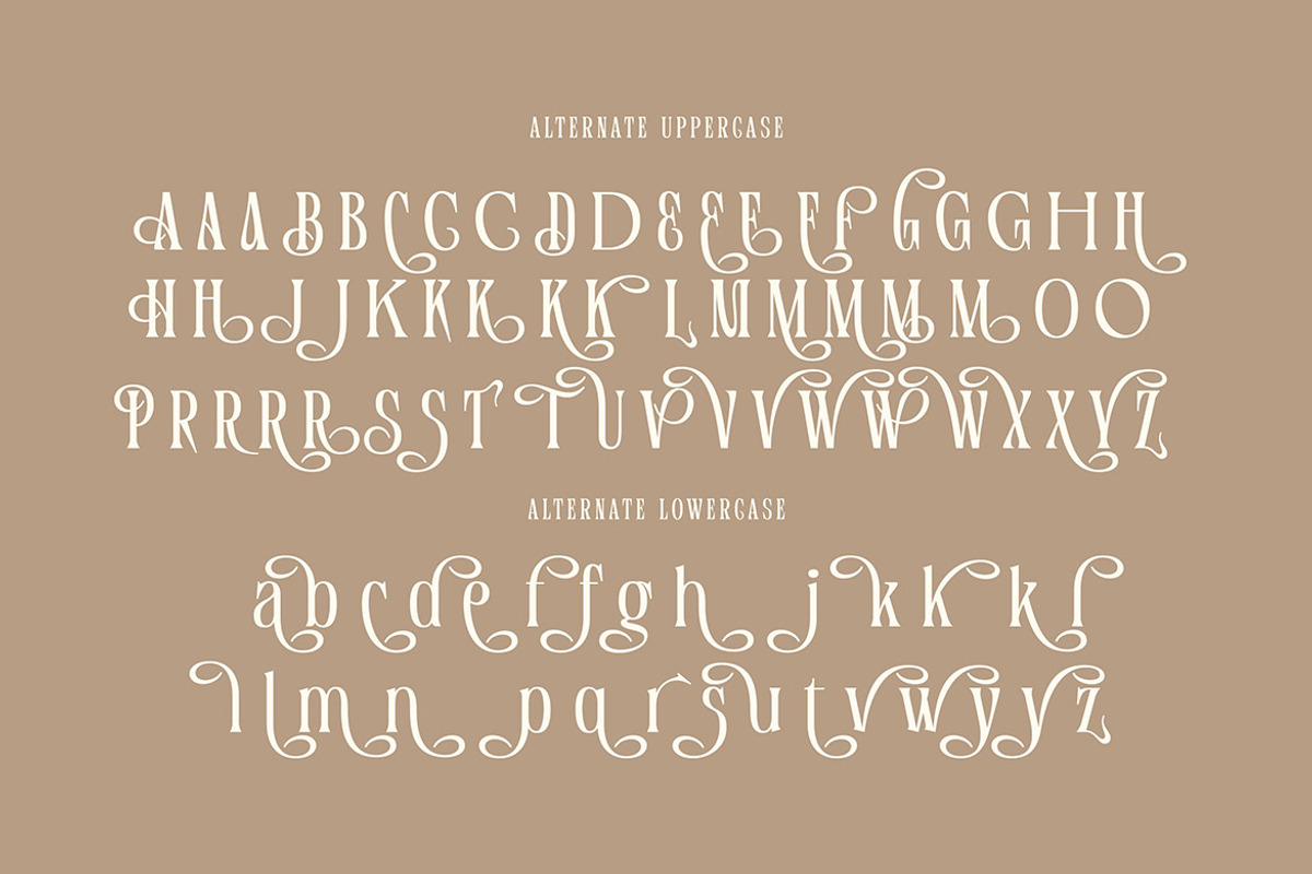 Frances Hickling, a Serif Font by Cruzine (Photo 6 of 8)
