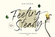 Feeling Steady, a Script Font by din-studio.com (Thumbnail 1 of 10)