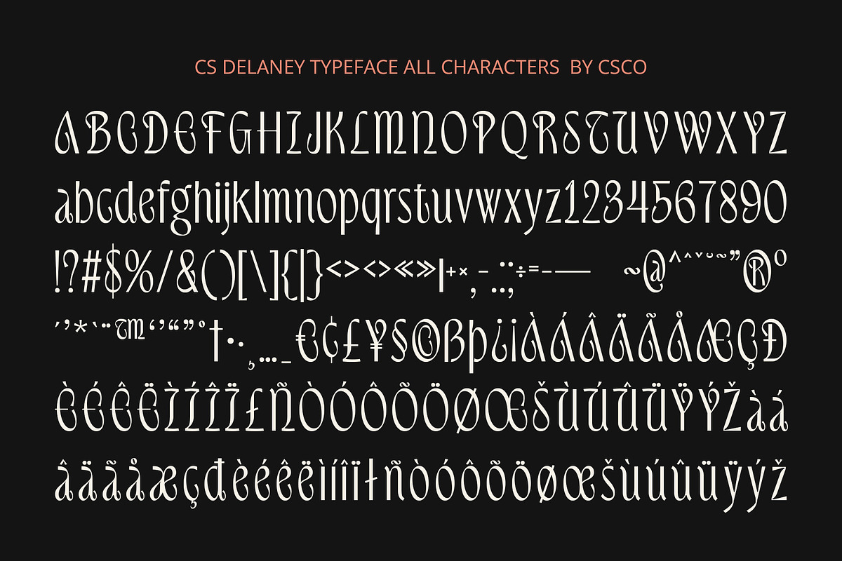 CS Delaney – Modern Font, a Sans Serif Font by Craft Supply Co. (Photo 8 of 8)