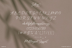 Sellira - Beautiful Calligraphy Font