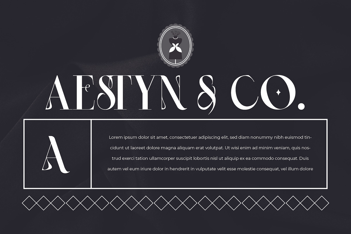 Stetling - Elegant Modern Serif Font, a Serif Font by Zeatype (Photo 4 of 11)