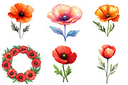 Poppy Flower Watercolor Cliparts, an Illustration by Watercolor design (Thumbnail 2 of 4)
