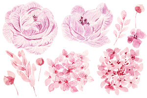 Beautiful Watercolor Flowers