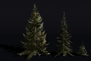 The Siberian Spruce Tree, a Plants & Tree 3D Model by FuturePastCreatives (Thumbnail 5 of 6)