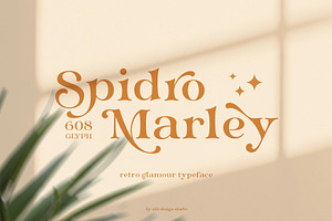 Spidro Marley Typeface