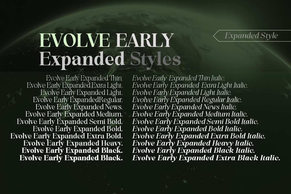 Evolve Early Serif Font Family, a Serif Font by groens (Photo 12 of 15)