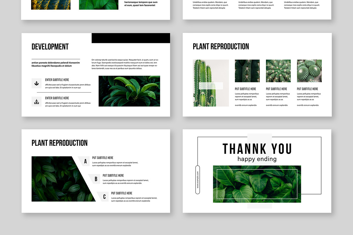Botanical Presentation, a Presentation Template by MightyDesign (Photo 4 of 7)