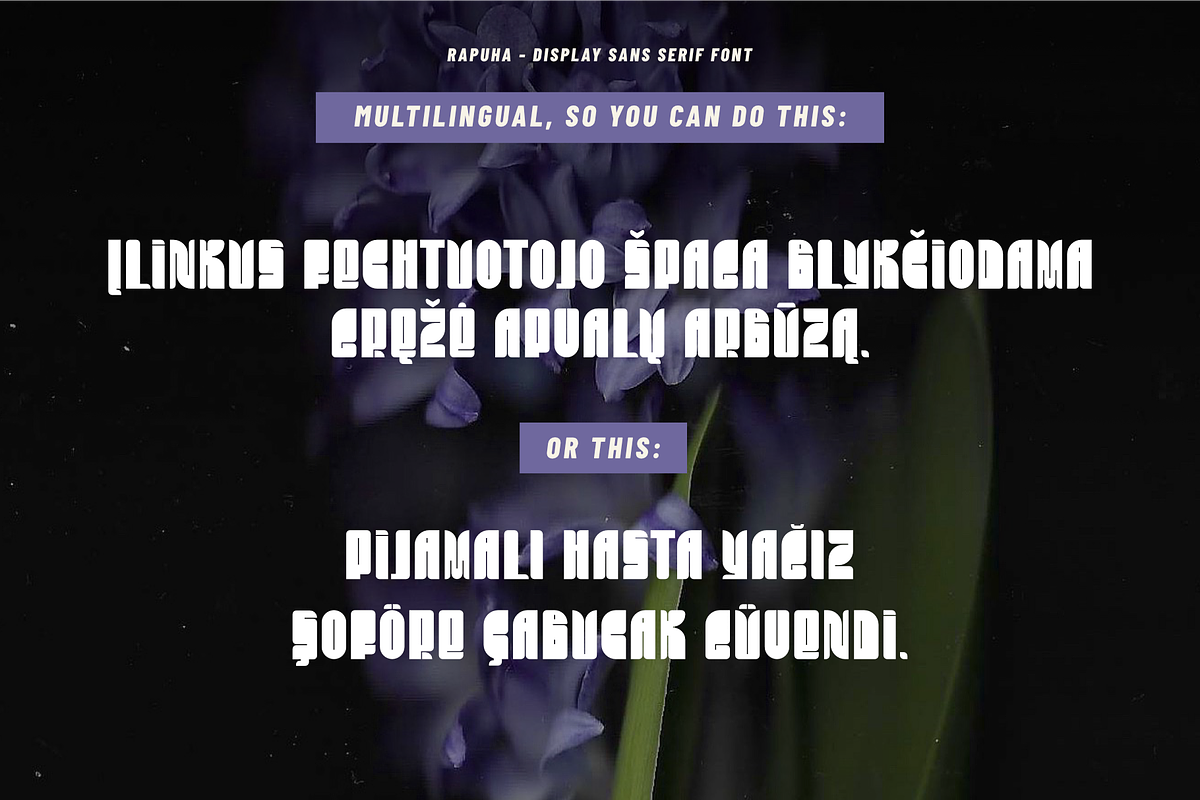 Rapuha - geometric display typeface, a Sans Serif Font by Pásha (Photo 3 of 7)