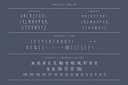 Lemon Tree Vintage Condensed Serif, a Serif Font by JumboDesign (Thumbnail 4 of 6)