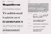 Shomina Font, a Serif Font by Cuchi, qué Tipo! Foundry (Thumbnail 4 of 21)
