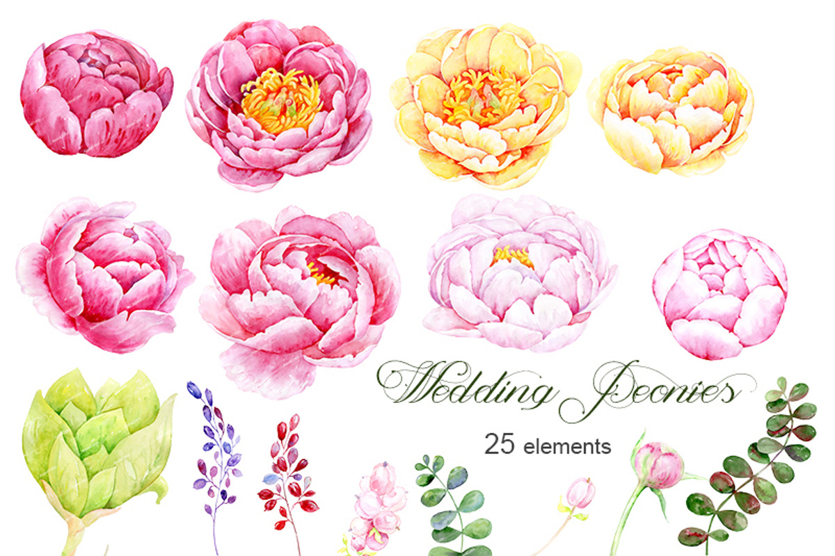 Watercolor clipart Wedding peonies, an Illustration by AqwaColor (Photo 2 of 4)