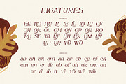 Mahony Browns Typeface, a Serif Font by alit design (Thumbnail 9 of 15)