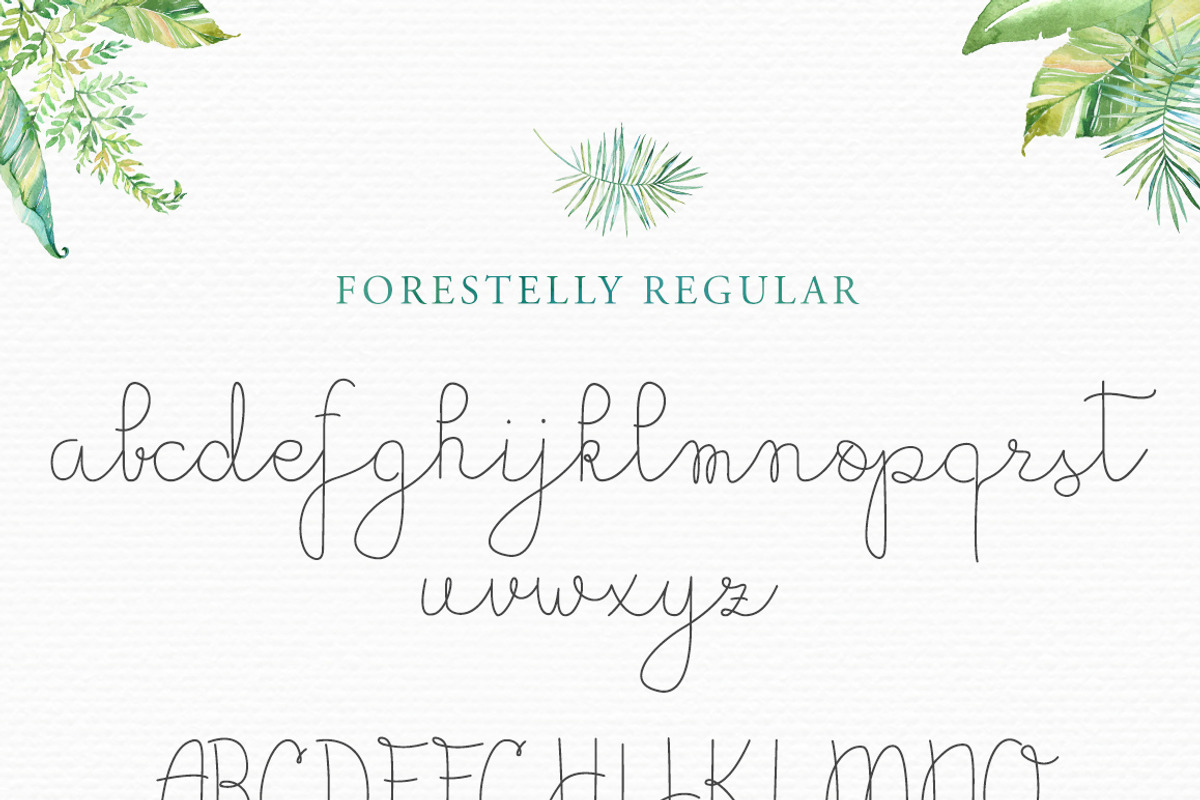 Forestelly familly + swashes preview 4