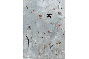 Vibrant floral collage set against a, a Nature Photo by ZinetroN