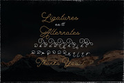 The Saily - Monoline Script Font, a Script Font by StringLabs (Thumbnail 9 of 10)