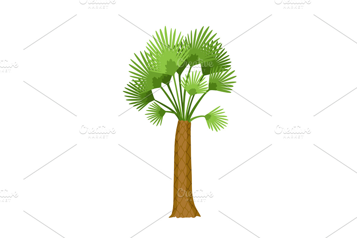 Kind of tree icon, palm, an Object Illustration by Things for designers