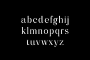 Angular Flow Serif Display Font, a Serif Font by UICreative (Thumbnail 4 of 13)