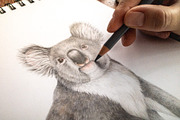 Australia Flora Fauna Clipart, an Animal Illustration by AnitaPol (Thumbnail 12 of 27)