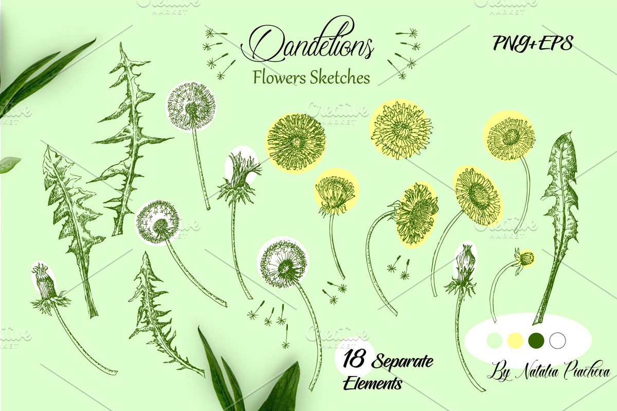 Dandelions Digital Clipart, a Decorative Illustration by Nataliapiache (Photo 2 of 4)