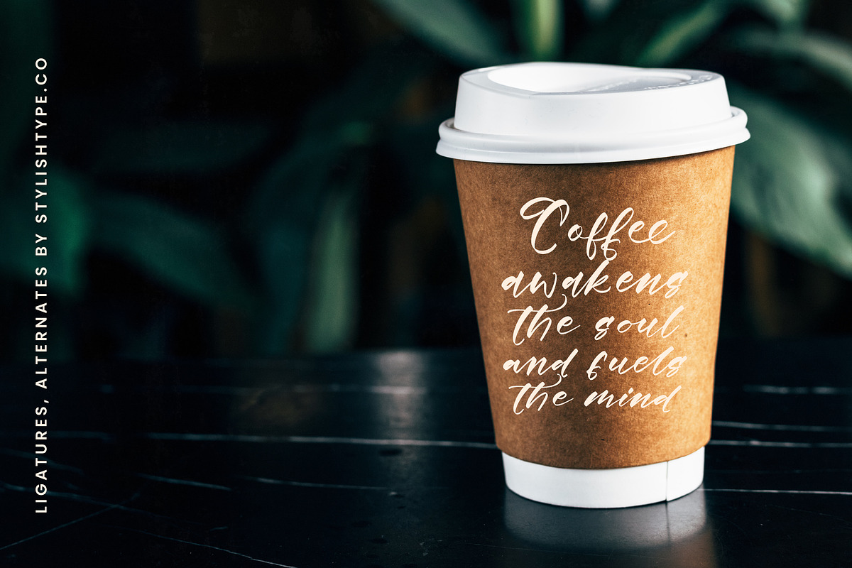 Floating Journey Stylish Handwritten, a Script Font by stylishtype.co (Photo 15 of 20)