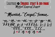 50% OFF Wingman, a Script Font by Fontforecast (Thumbnail 9 of 12)