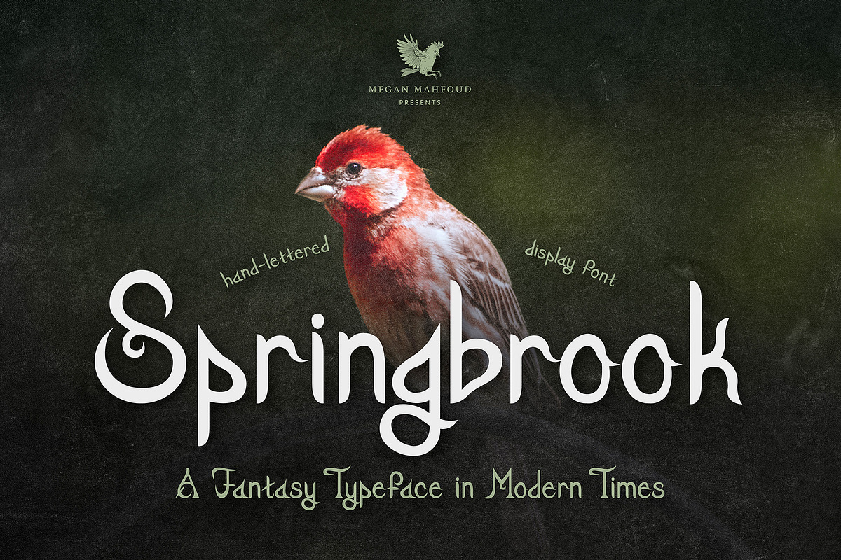 Springbrook - A Fantasy Typeface, a Font by Megan Mahfoud Studio (Photo 1 of 7)