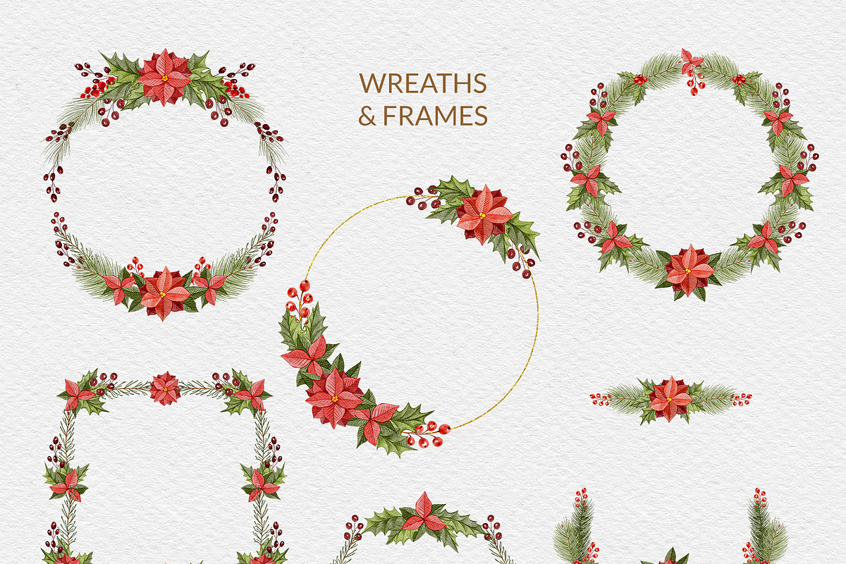 Christmas Florals, Poinsettia, an Object Graphic by ilonitta (Photo 14 of 18)