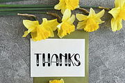 Pretty, a Script Font by InermediaSTUDIO (Thumbnail 8 of 8)