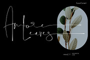 Thamepalms | Handwritten Font, a Handwritten Font by Jolicia Type (Thumbnail 5 of 10)