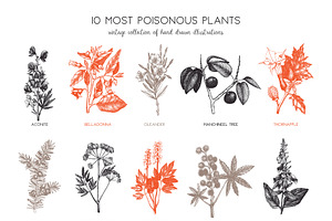 10 Most Poisonous Plants. Vector Set