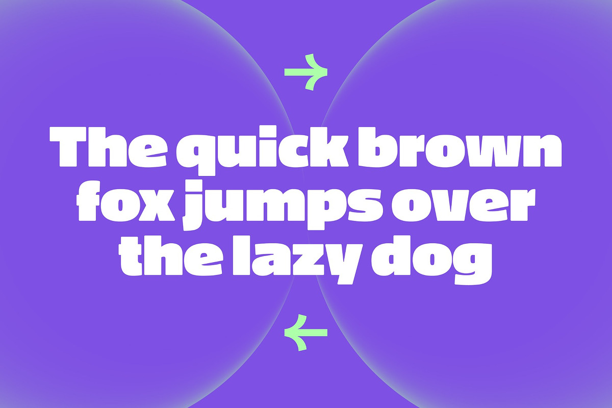 Vlafien, a Sans Serif Font by graphicook (Photo 8 of 10)