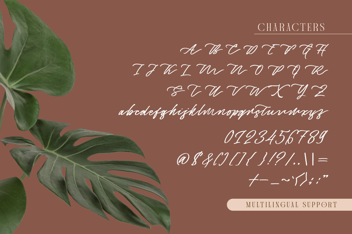 Captivate Script, a Script Font by Letterhend Studio (Photo 6 of 9)