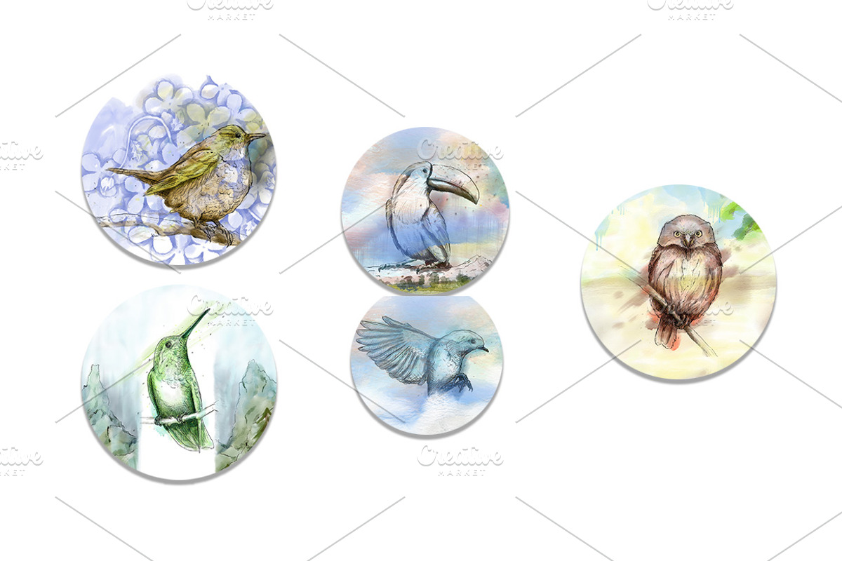5 Ink Watercolor Birds, an Animal Illustration by Natsuhisui (Photo 7 of 8)