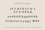Sorento | Font Family, a Sans Serif Font by Larin Type Co. (Thumbnail 15 of 15)