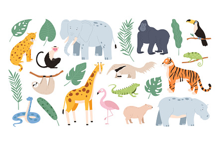 Safari Baby Animals Clipart | Graphics ~ Creative Market