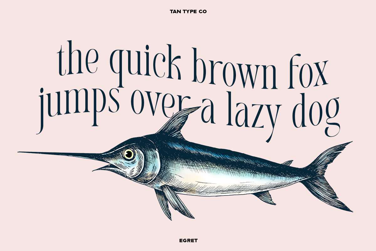 Free Download - Fontfreebie