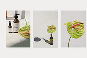 Bali Cosmetic Photo Mockup Bundle, a Packaging Mockup by Lesse Studio (Thumbnail 3 of 11)