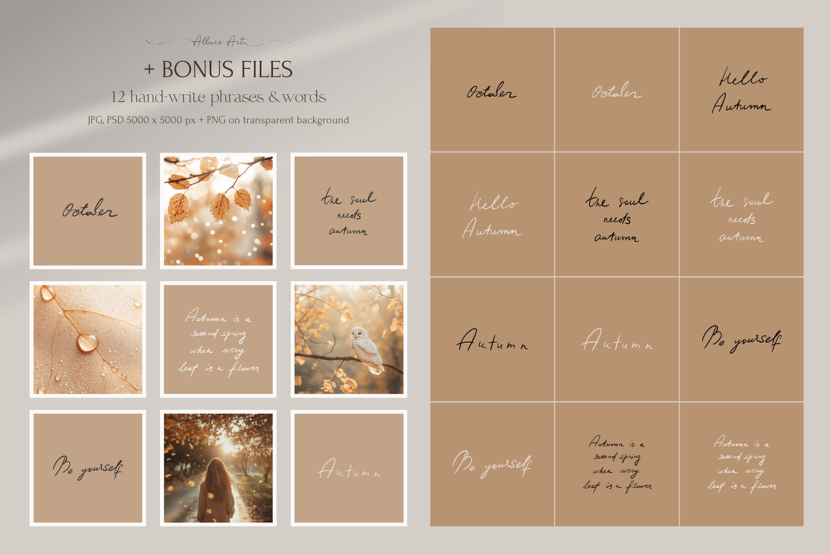115 Beige Autumn Styled Stock Photos, a Photo by Allure Art (Photo 29 of 30)
