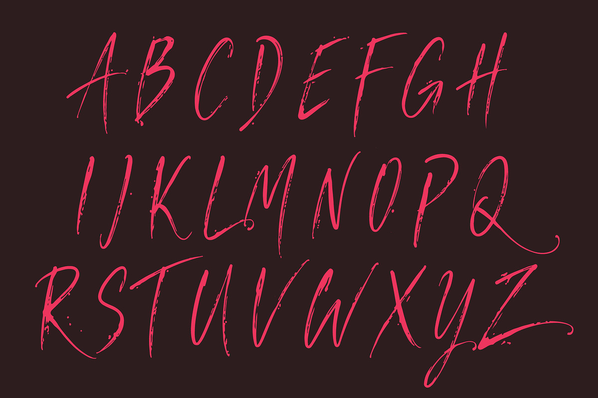 Manstera Leviosa - Expressive Script, a Script Font by HypeWorksCo (Photo 14 of 15)