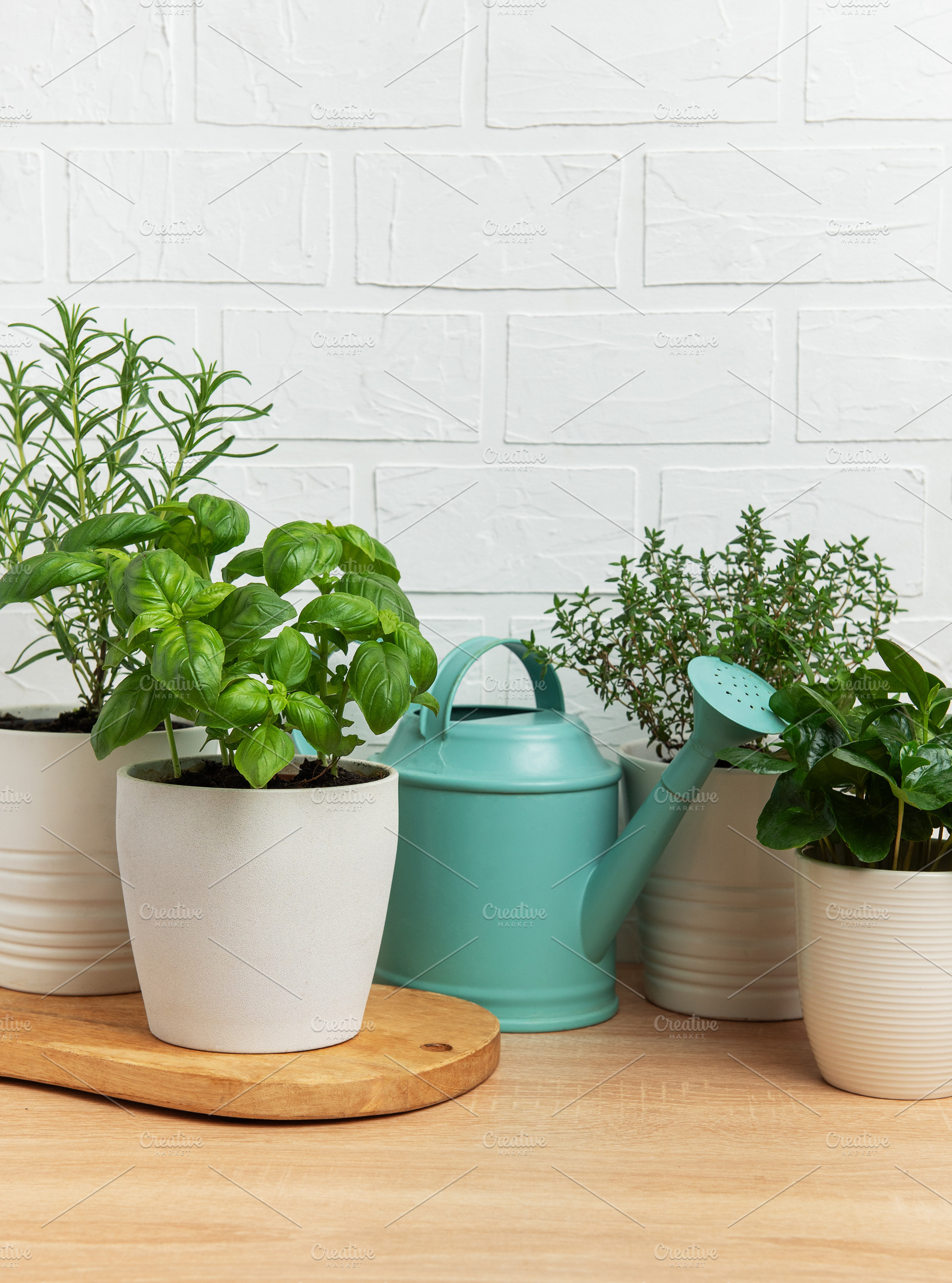 Fresh herbs growing in pots with watering can on wooden table, a Food & Drink Photo by Olena Rudo