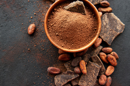 Cocoa powder and beans stock photo containing cocoa and chocolate, a Food & Drink Photo by Olena Rudo