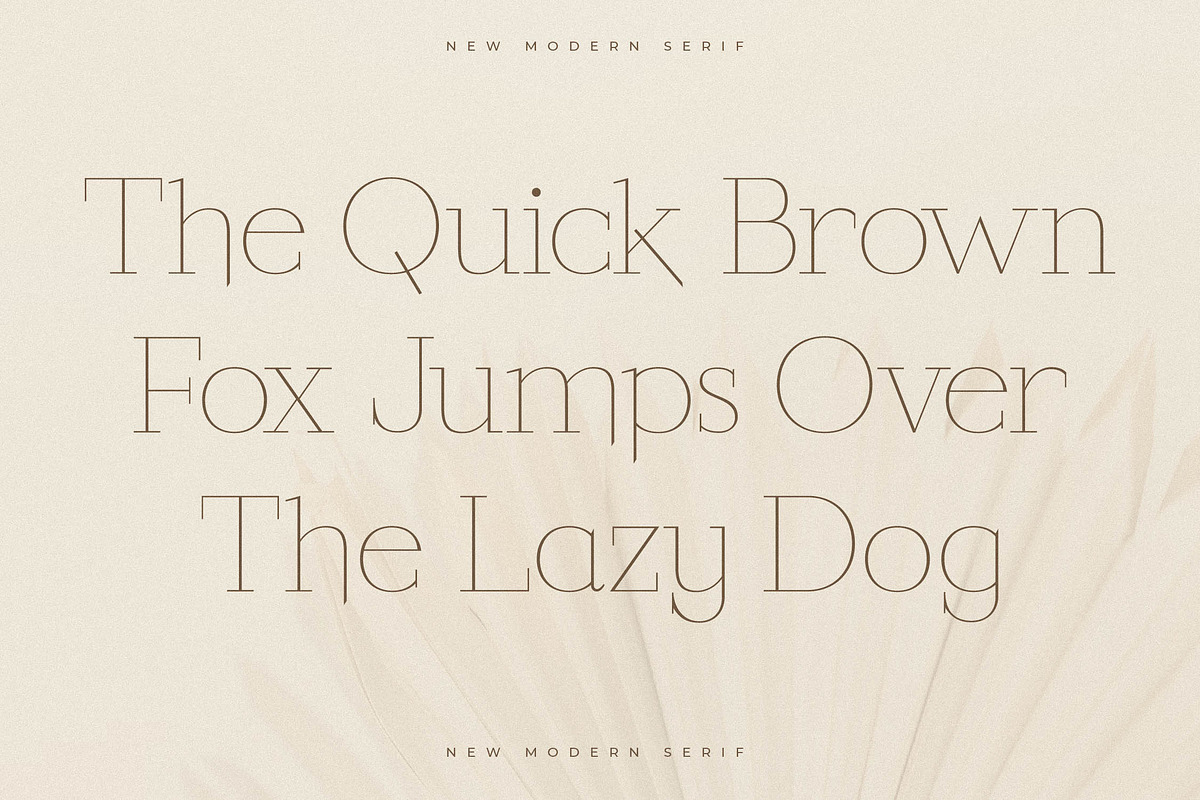 Callidora New Modern Serif, a Serif Font by Storytype Studio (Photo 7 of 15)