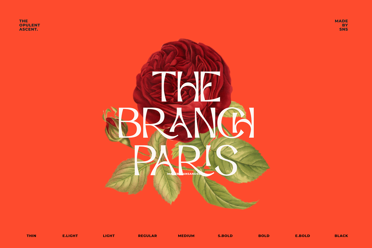 Opulent Ascend - 9 Font Family, a Sans Serif Font by Sans & Sons (Photo 6 of 10)