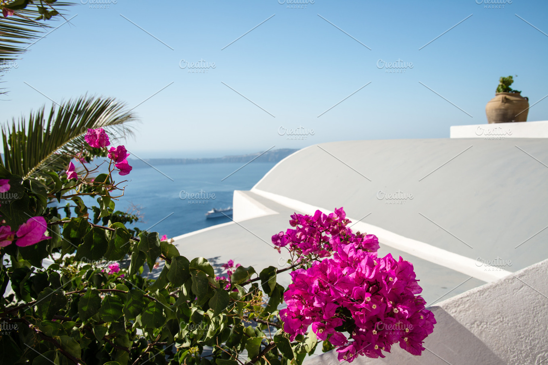 Flowers on a Roof Line