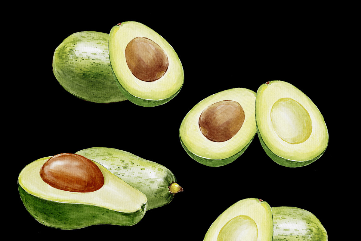 Avocado digital watercolor, a Food Illustration by wedraw (Photo 2 of 3)