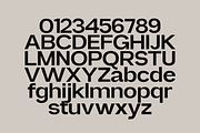 Also Sans - Family Sans Serif, a Sans Serif Font by Marvadesign (Thumbnail 7 of 9)