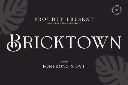 Bricktown-Regular&Italic Serif Font, a Serif Font by overlaytemplates