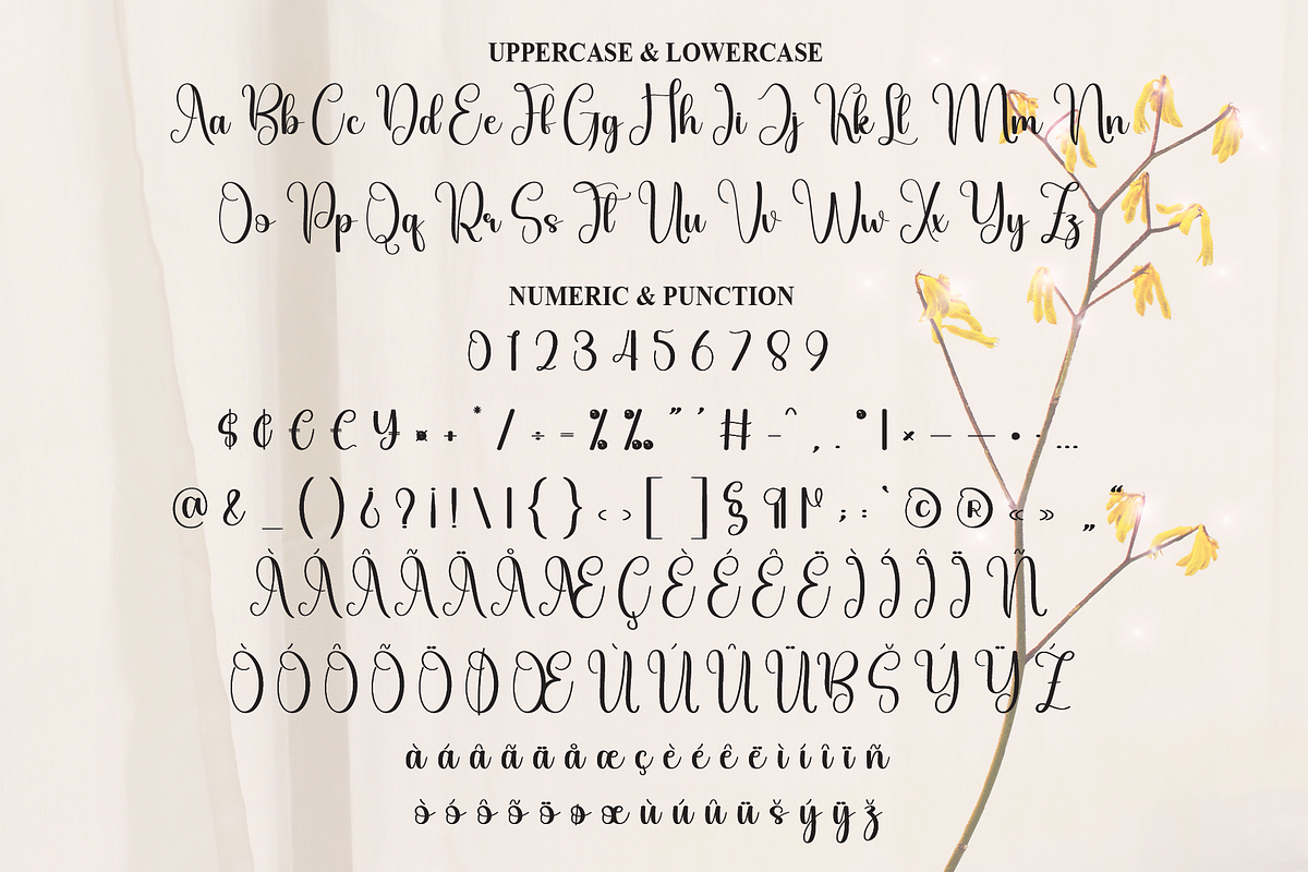 Starkey | Script Font, a Handwritten Font by Scratchones (Photo 7 of 9)