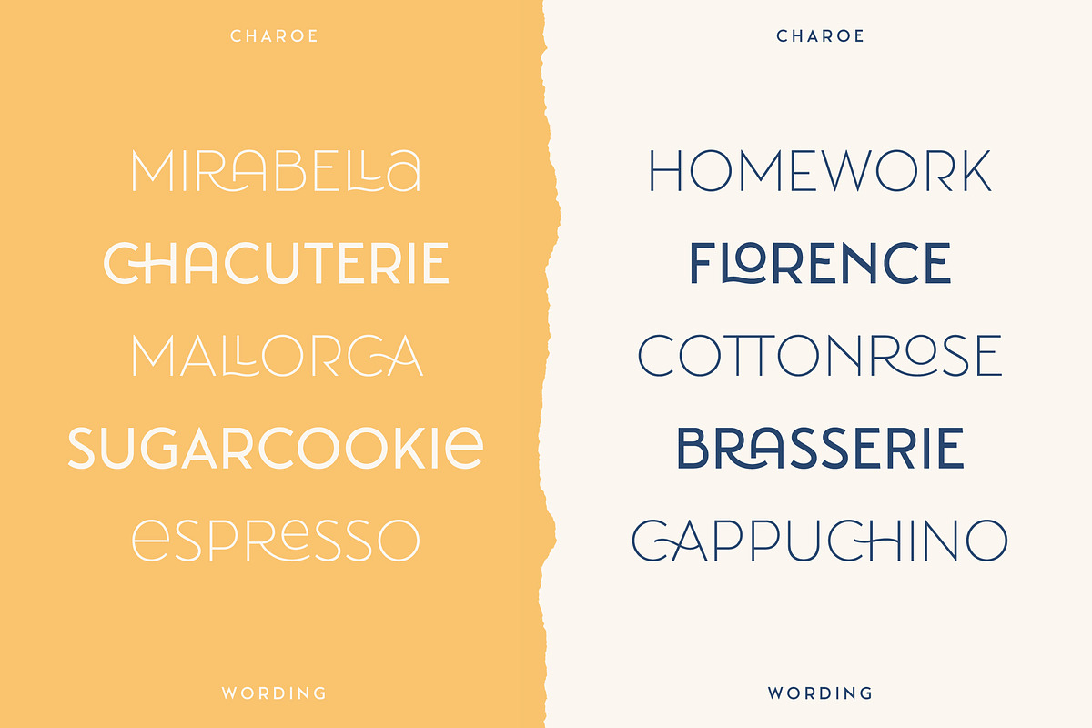 Charoe Typeface + Extras, a Font by Heritage Type Co. (Photo 2 of 17)